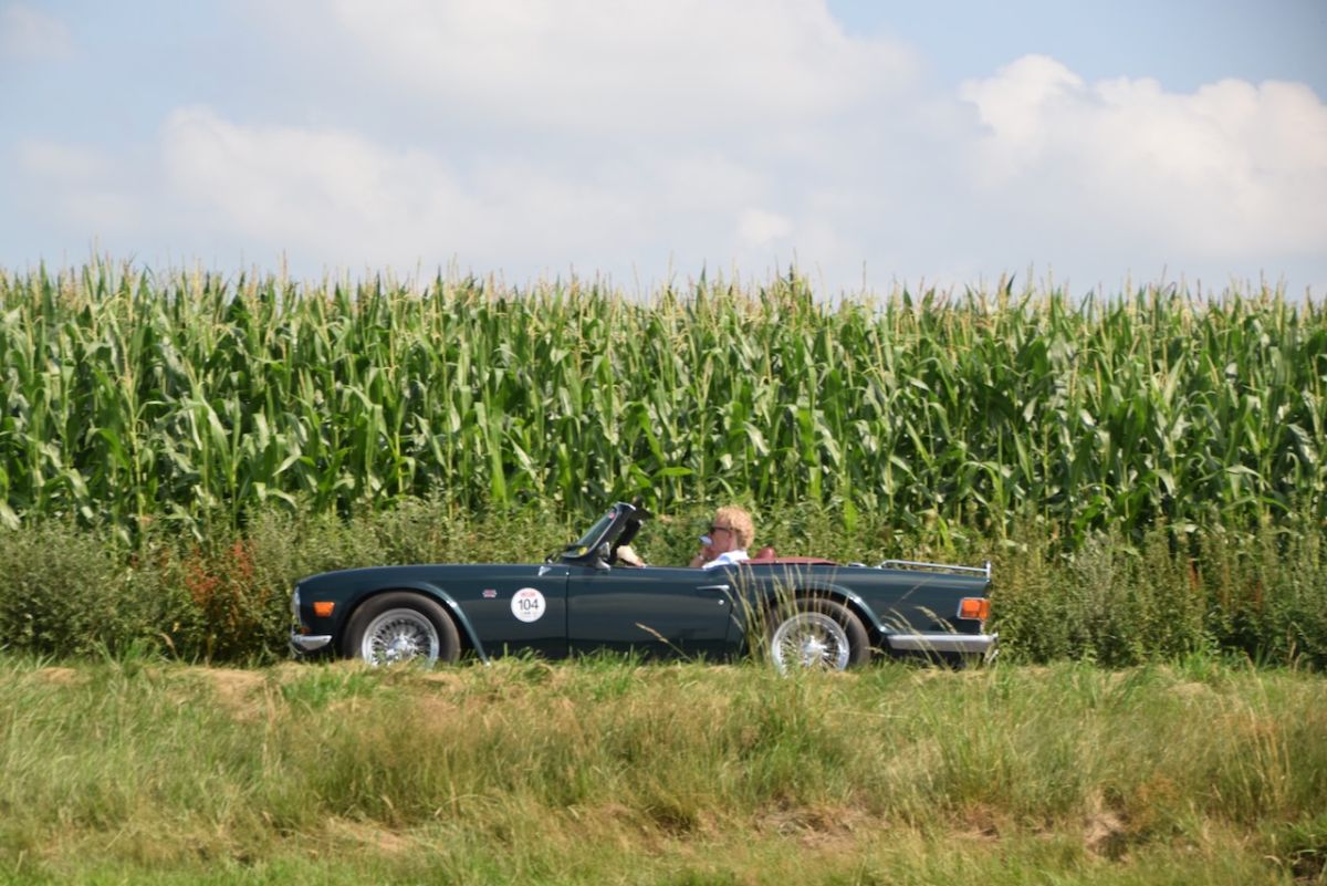 veranstaltungen-classic-club-niederelbe